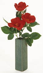 Square vase with roses