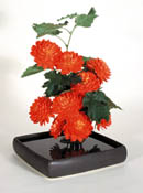 Cuzco square arranging dish